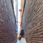 Victoria's City Highlights - Half Day Private Tour Excursion - What Makes This Tour Stand Out