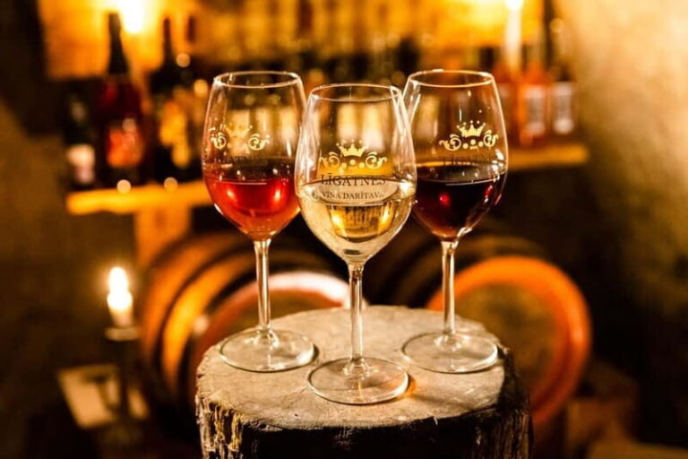 Vidzeme wine tasting tour - Lgatne Wine Tasting: Discovering Latvia’s Berry Wines