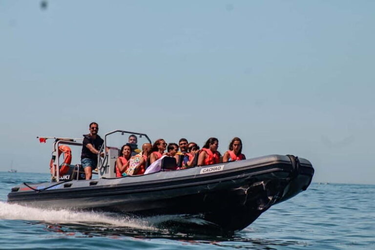 Vilamoura: Benagil Cave Small Group - Practical Information & Tips