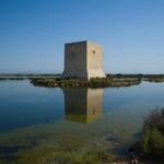 Village Street Market: Santa Pola - What We Loved About the Tour