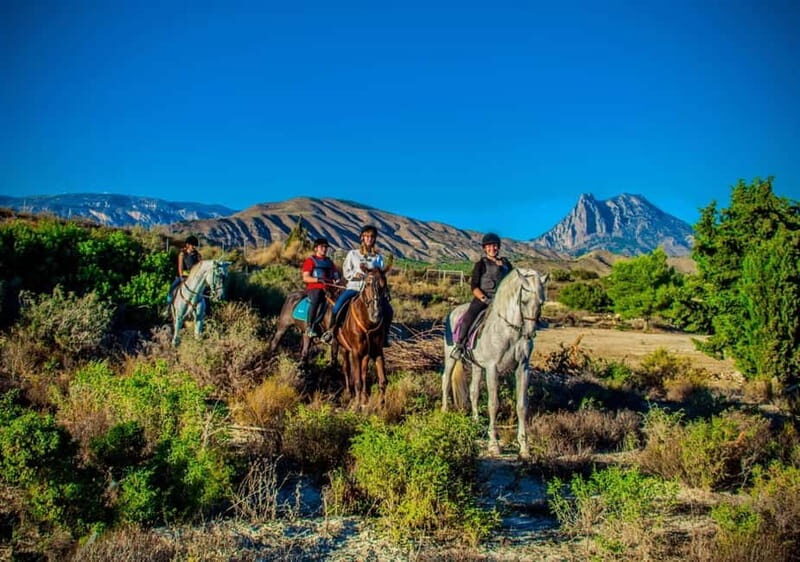 Villajoyosa: Horseback Riding in the Mountains - What To Expect During Your Horseback Ride