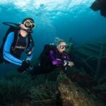 Villefranche-sur-Mer: Experience an introduction to scuba diving - Detailed Breakdown of the Tour