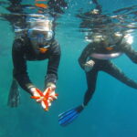 Villefranche-sur-Mer: guided snorkeling to discover the aquatic world - What Makes This Tour Stand Out?