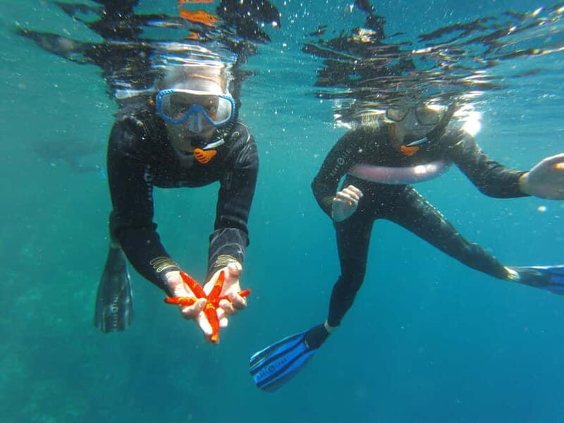 Villefranche-sur-Mer: guided snorkeling to discover the aquatic world - What Makes This Tour Stand Out?