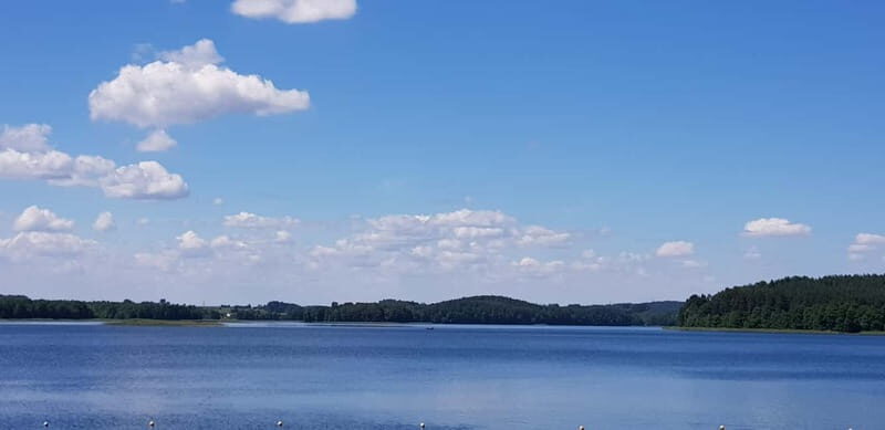 Vilnius: Trakai Castle Half-Day Tour by minivan - The Sum Up