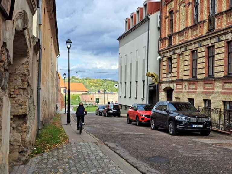 Vilnius: Walking Tour with a Local Guide - Small groups - Whats Included & Practical Details