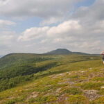 Vindelfjäll nature reserve: A walk through reindeer country - What To Expect on the Day