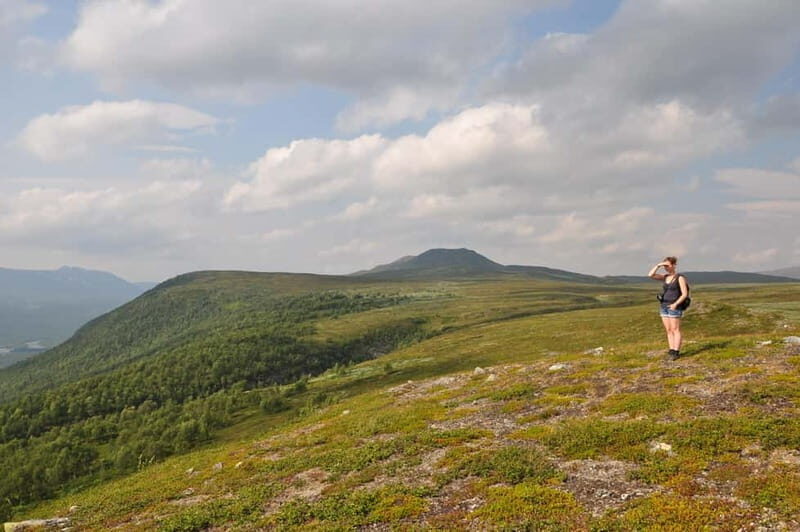 Vindelfjäll nature reserve: A walk through reindeer country - What To Expect on the Day
