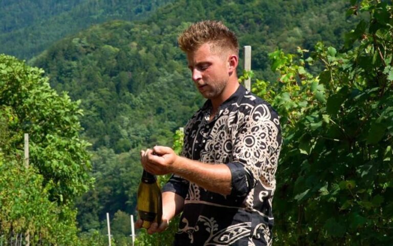 vineyard experience - Exploring the Vineyard Walk and Wine Tasting