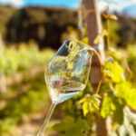 Vineyard Tour and Wine Tasting - Who Will Love This Experience?