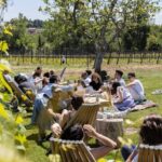 Vineyard Tour and Winery Visit with Tasting of Wines of Romagna - Who Will Love This Tour?