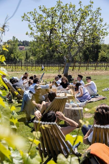 Vineyard Tour and Winery Visit with Tasting of Wines of Romagna - Who Will Love This Tour?