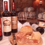 Vineyard Walk & Wine Tasting in the Berici Hills of Vicenza - Value and Practical Considerations