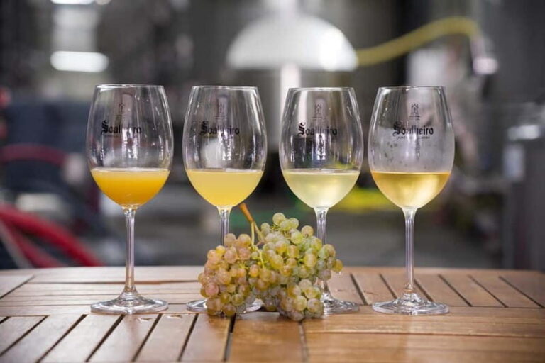 Vinho Verde: Private Wine Tasting w/ Tapas & Fortress Visit - The Fortress and Cultural Insights