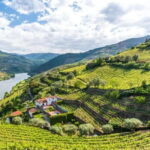 Vinho Verde: Visit 3 Wineries with wine tastings and Lunch - An In-Depth Look at the Vinho Verde Tour Experience