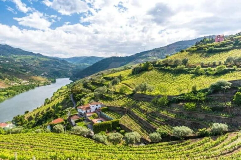 Vinho Verde: Visit 3 Wineries with wine tastings and Lunch - An In-Depth Look at the Vinho Verde Tour Experience