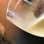 Vinho Verde - Wine Tasting with Transportation - Why This Tour Works Well for Different Travelers