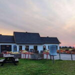 VIP Agritourism Tour of Île d'Orléans & Montmorency Fall - Real Experiences & Feedback from Travelers