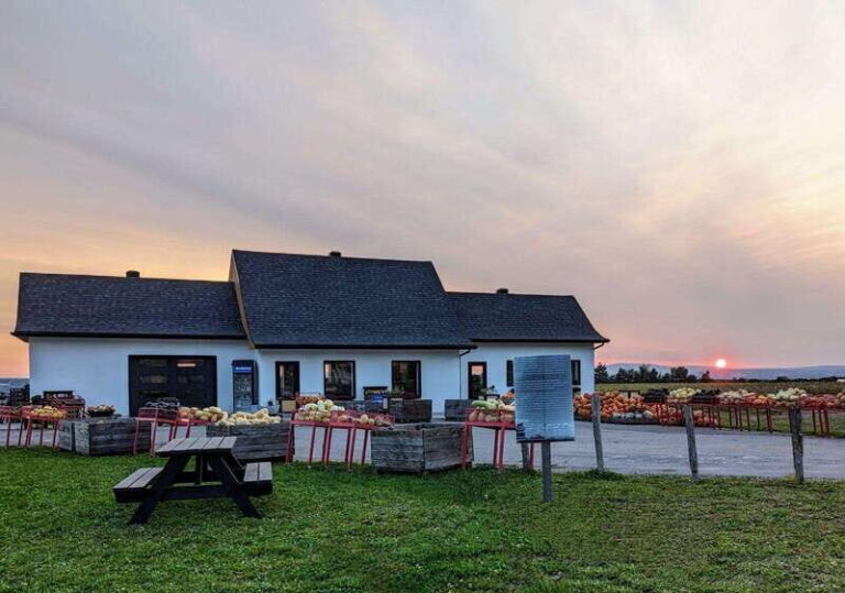 VIP Agritourism Tour of Île d'Orléans & Montmorency Fall - Real Experiences & Feedback from Travelers