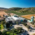 VIP Wine Experience | Costa Blancas Hidden Estates - A Personal Touch from Start to Finish