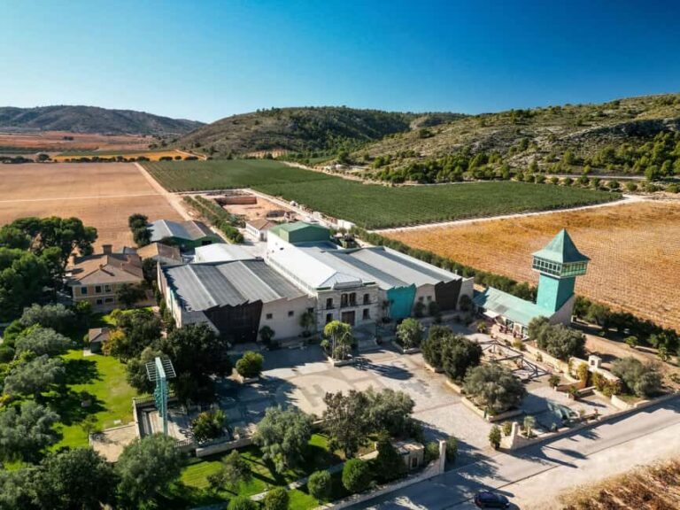 VIP Wine Experience | Costa Blancas Hidden Estates - A Personal Touch from Start to Finish