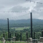 Virginia Winery Excursion by Luxury Vehicle Three wineries - Who Should Consider This Tour?