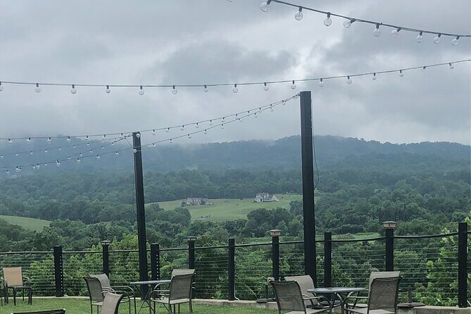 Virginia Winery Excursion by Luxury Vehicle Three wineries - Who Should Consider This Tour?