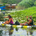 Virpazar: Skadar Lake Nature Kayak Tour - Navigating Skadar Lake: What to Expect
