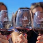 Visit a wine cellar, a wine museum and a traditional meal - Practical Details: What to Expect and Consider