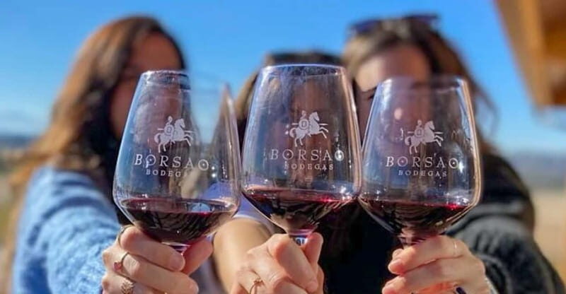 Visit a wine cellar, a wine museum and a traditional meal - Practical Details: What to Expect and Consider