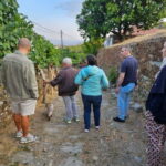Visit to Quinta de Sobre a Fonte with wine tasting - pet friendly - Is It Worth the Price?