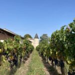 Visit to the property and wine/cheese pairing workshop - Exploring the Experience in Detail