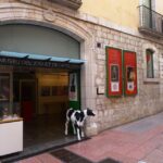 Visita guiada por el Teatro-Museo Dalí - What to Expect During the Experience
