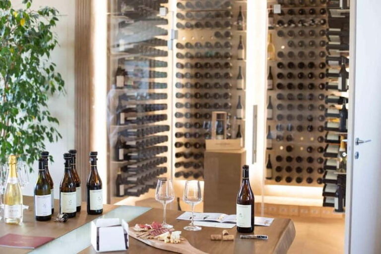 Visita guidata e Degustazione vini Monforte d'Alba - What Youll Experience