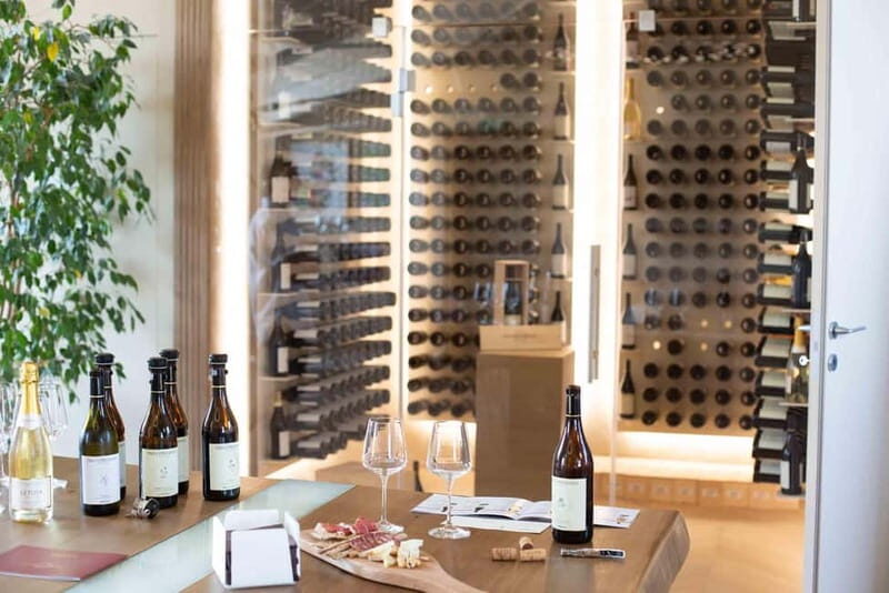 Visita guidata e Degustazione vini Monforte d'Alba - What Youll Experience