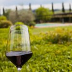 Viticcio tasting experience - Summary