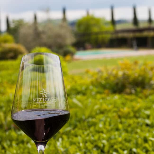 Viticcio tasting experience - Summary