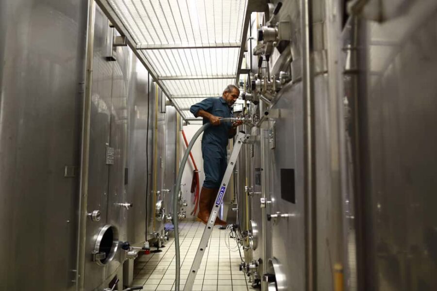 Vitteaut-Alberti: cellar tour, tasting of Crémants de Bourgogne - Why This Tour is Worth Considering