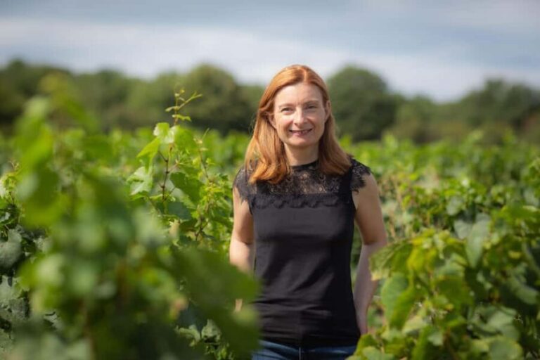 Vitteaut-Alberti: discovery tasting of 4 Crémants de Bourgogne - A Deep Dive into the Experience