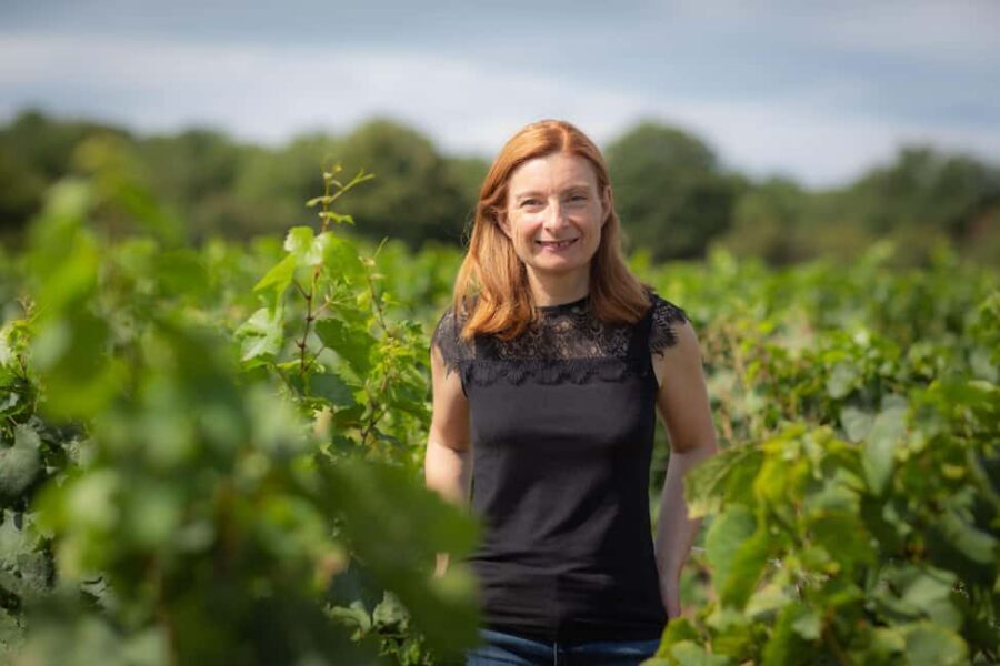 Vitteaut-Alberti: discovery tasting of 4 Crémants de Bourgogne - A Deep Dive into the Experience