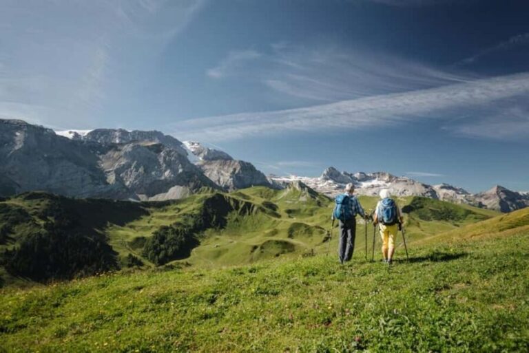 Vogellisi Mountain: Easy Panoramic Flower Trail Hike - Detailed Breakdown of the Trail Experience