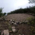 Volcanes, Viñedos y Laurisilva  Santiago del Teide - Practical Details and What to Expect