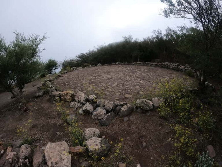 Volcanes, Viñedos y Laurisilva Santiago del Teide - Practical Details and What to Expect