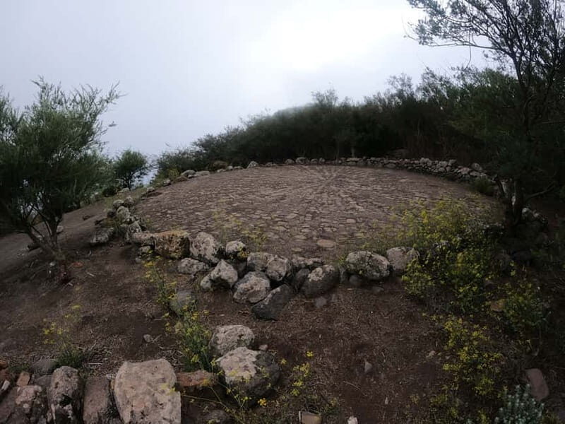 Volcanes, Viñedos y Laurisilva  Santiago del Teide - Practical Details and What to Expect  