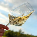 Volterra: Winery Guided Tour and Experience with Tasting - Who Should Book This Tour?