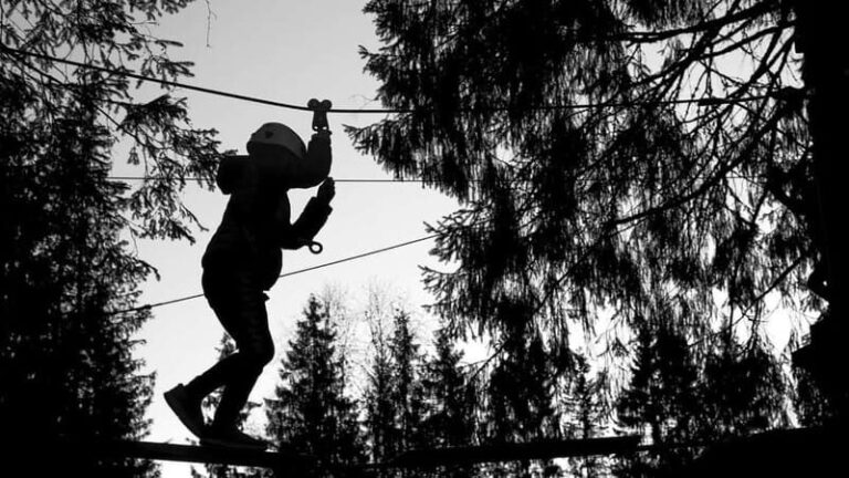 Voss High Rope & Zipline Park - What to Expect from Your Visit