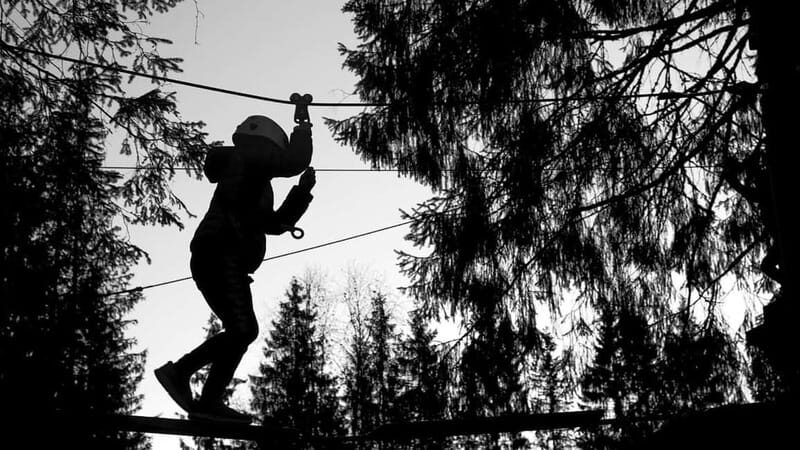 Voss High Rope & Zipline Park - What to Expect from Your Visit