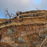 Vulcano Island: Panoramic Walk - An In-Depth Look at the Vulcano Island Panoramic Walk Experience