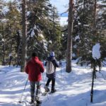 Vuokatti: Snowshoeing Adventure in the Forest - The Sum Up