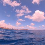 Waikiki: AM Paradise Honu Snorkeling - The Itinerary: What to Expect